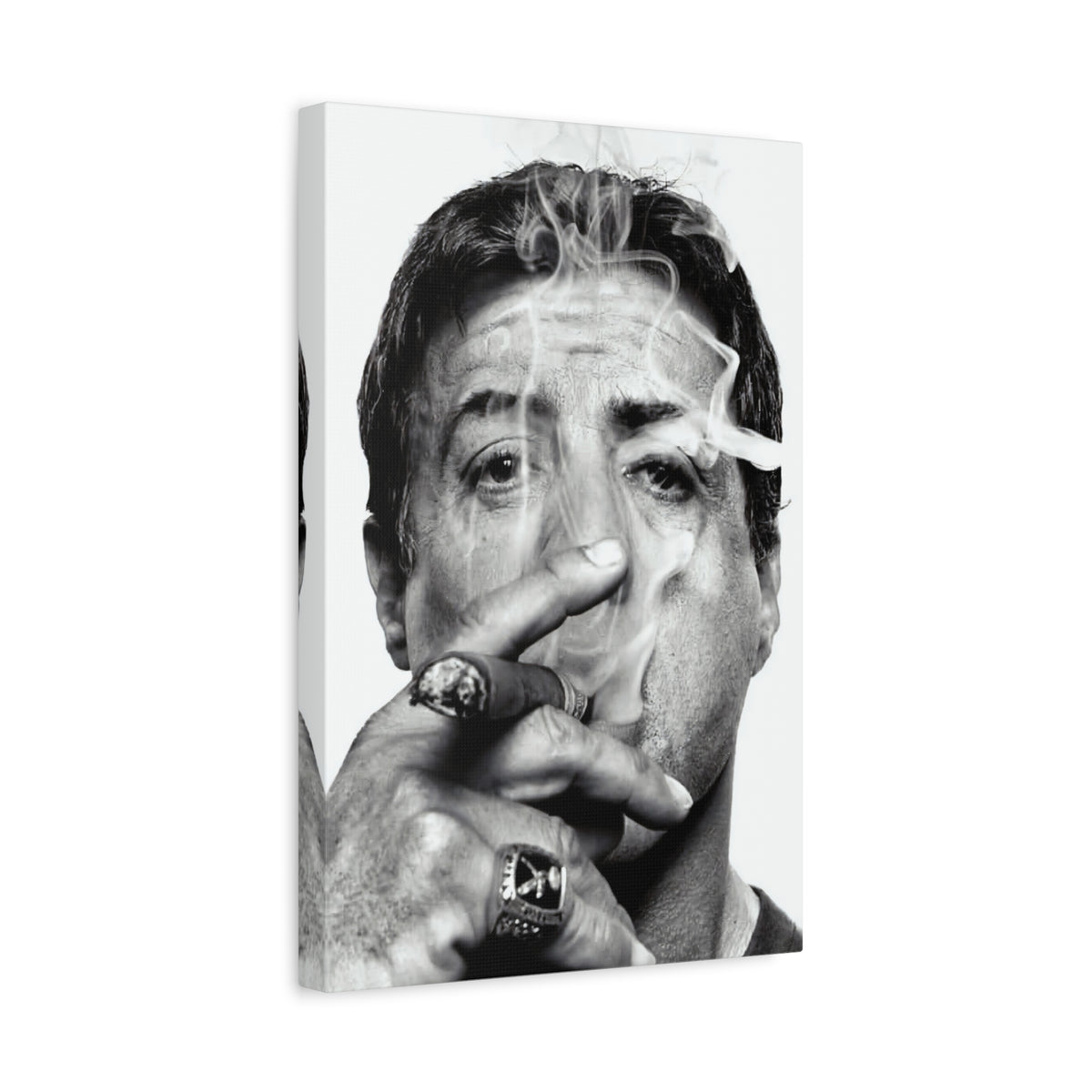 Sly Cigar Canvas