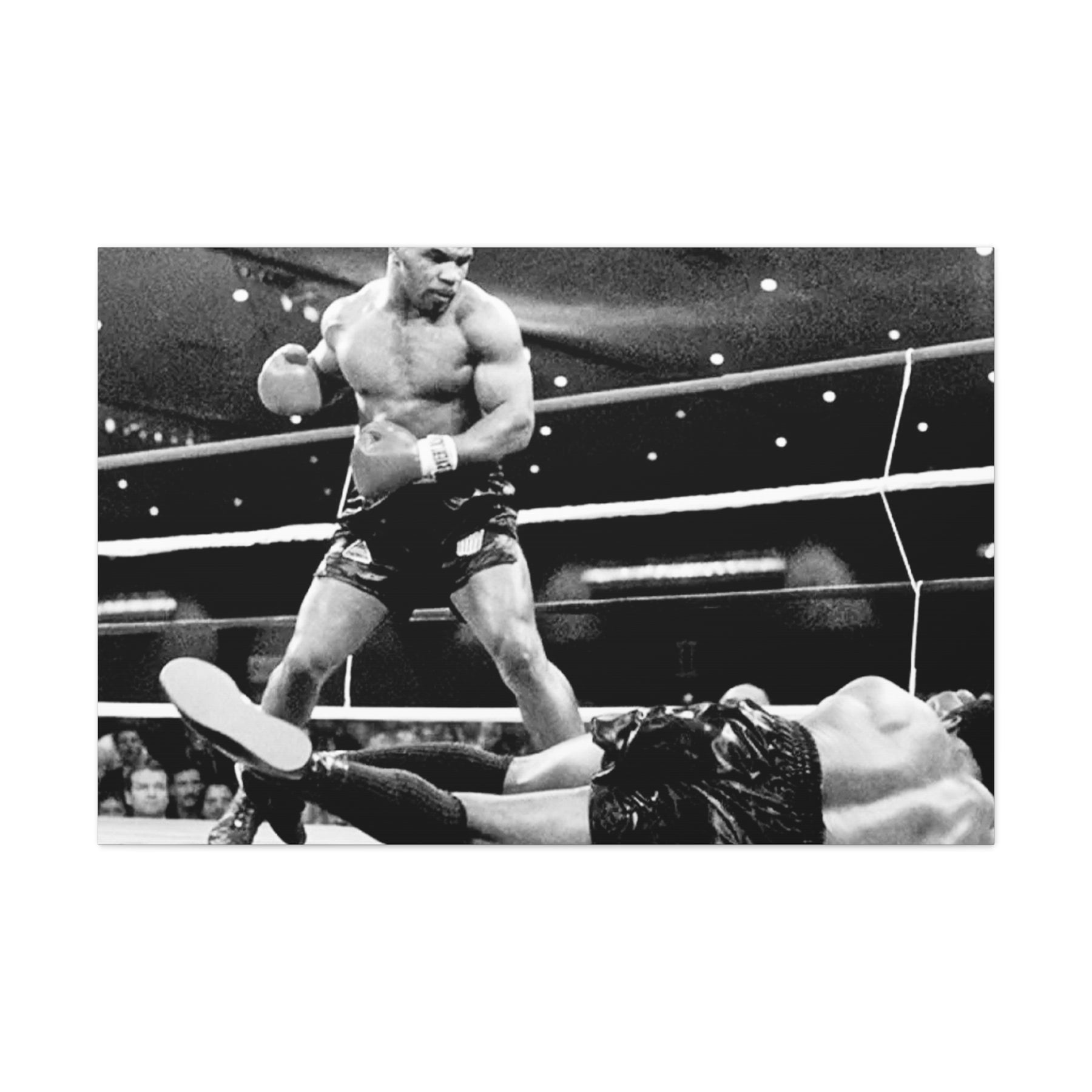 Tyson Knock Out Canvas