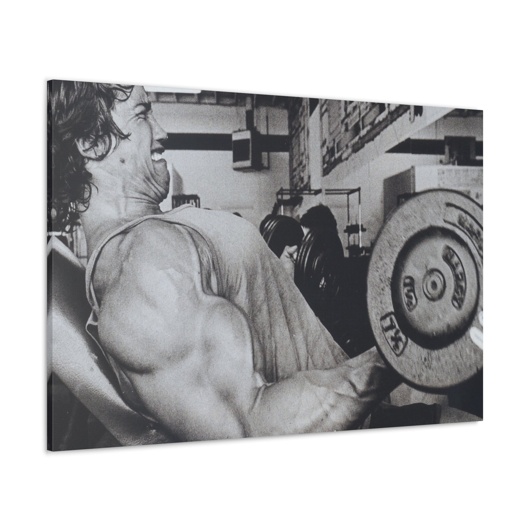 Pumping Iron Canvas