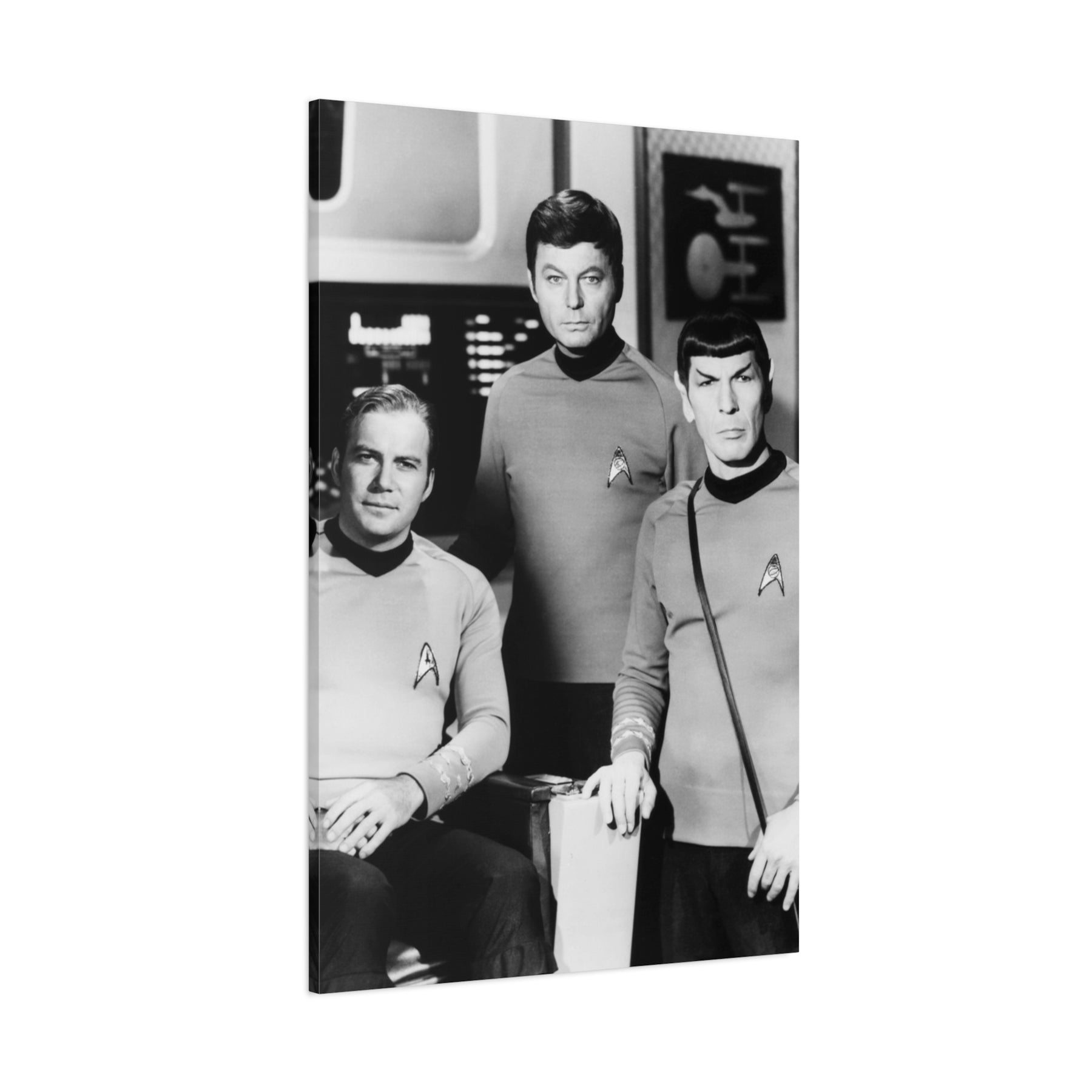 Star Trek The Crew Canvas