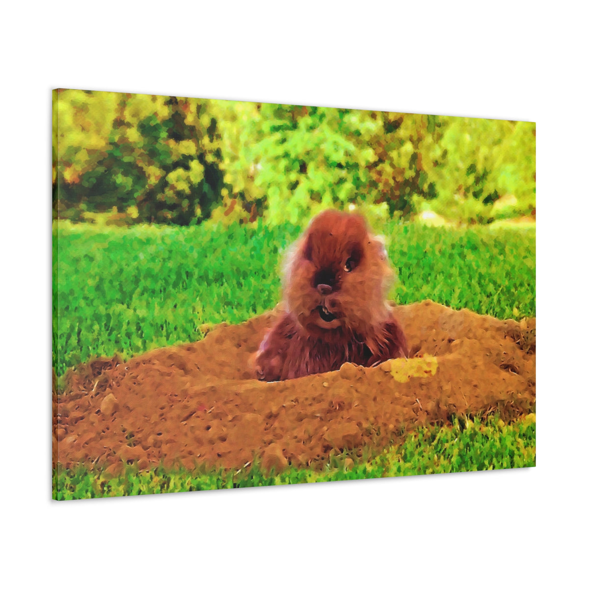 Caddyshack Gopher Canvas