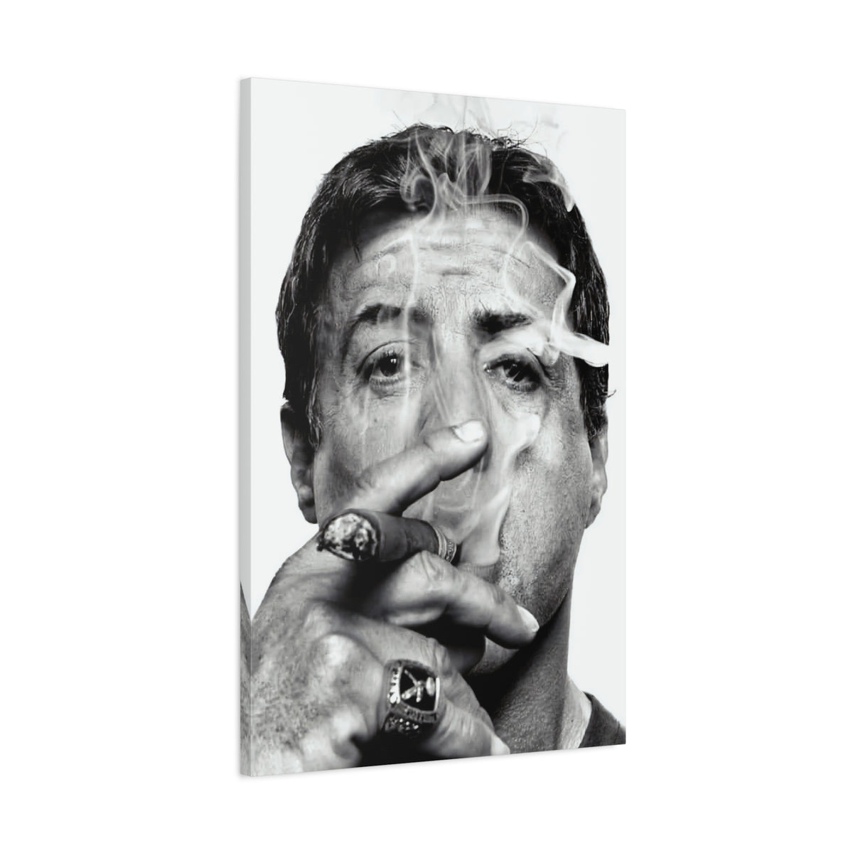 Sly Cigar Canvas